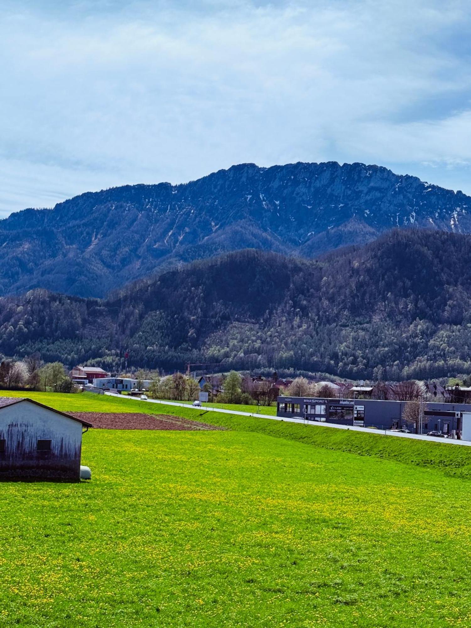 Zentrale Wohnung Mit Alpenblick Micheldorf in Oberösterreich Exterior photo